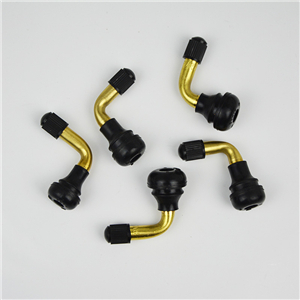 Copper EPDM rubber motorcycle valve