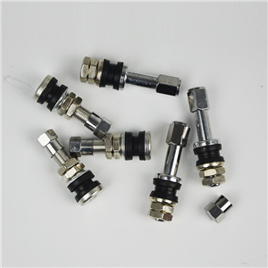 Zinc alloy motorcycle valve