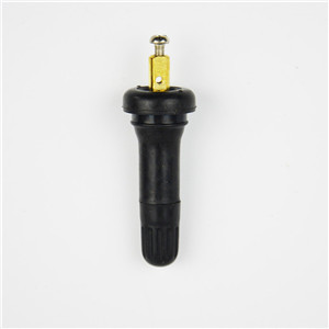 Buick rubber TPMS valve